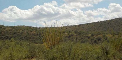 1563 Camino Bacalao, Rio Rico