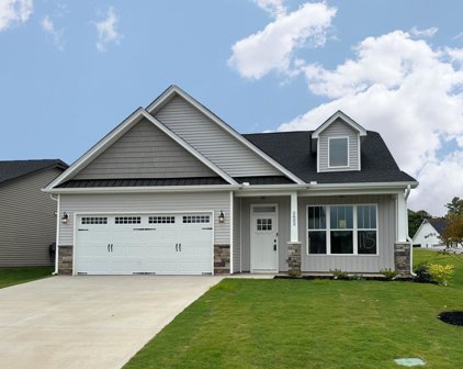 2602 Karkinnen, Moore