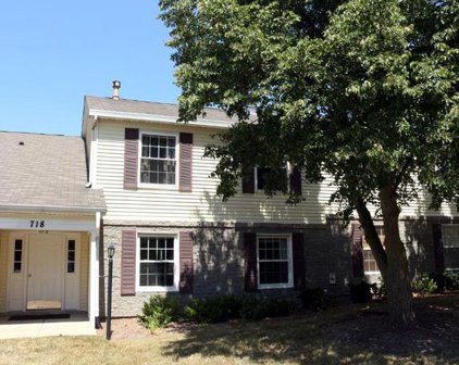 718 Crescent Court Unit #B-1, Bartlett