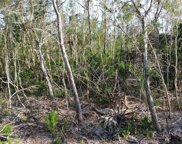 Access Undetermined, Bokeelia image