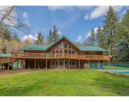 18618 NE 274TH ST, Battle Ground image