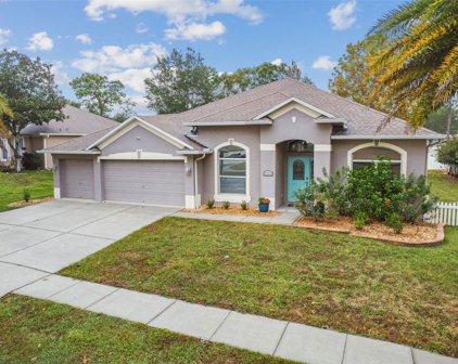 5744 Brackenwood Drive, Spring Hill