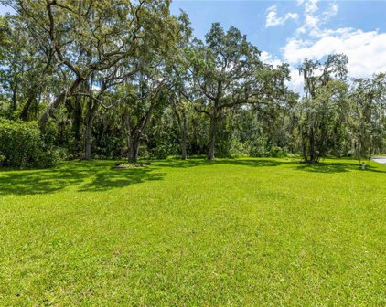 1119 W River Drive, Temple Terrace