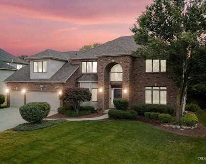 3123 Mistflower Lane, Naperville