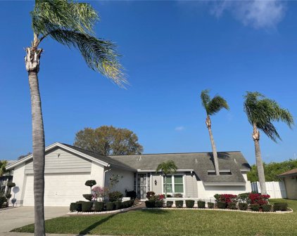 2823 Windridge Drive, Holiday