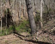 Lots 302,304 N Country Club  Drive, Cullowhee image