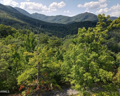 Lot 2 Caney Creek Rd, Pigeon Forge