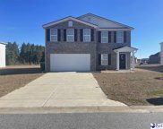 4039 Lake Russell Dr, Florence image