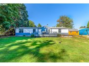 847 PIERCE AVE, Cottage Grove image