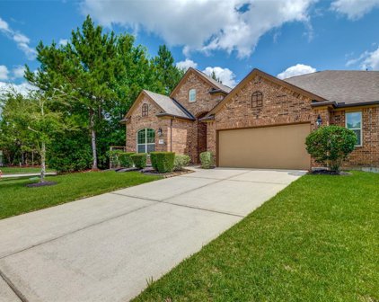 21334 Hubbard Run Drive, Porter