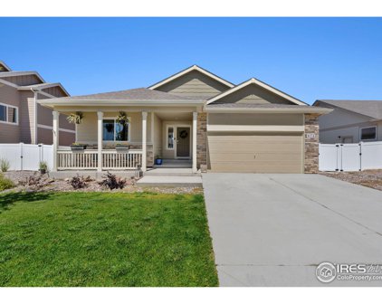 972 Mouflon Dr, Severance