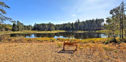 0 Lot 19 W Clear Lake Drive, Shelton