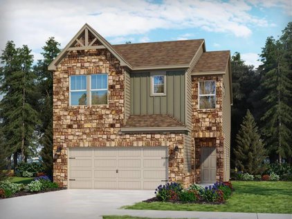 620 Citriadora  Street, Fort Mill