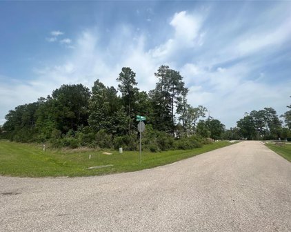 27403 Jupiter Landing Court, Spring