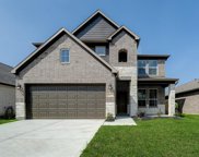 11323 Painted Trillium Lane, Houston image