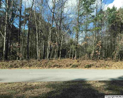 1.54 ACRES 7th Street Nw, Arab
