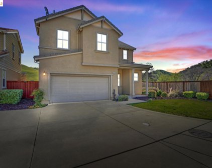 9419 Vintner Circle, Patterson