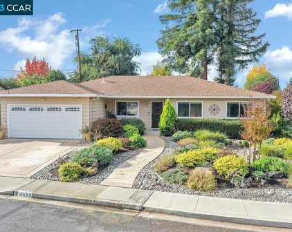 4650 Greenbush Dr, Concord