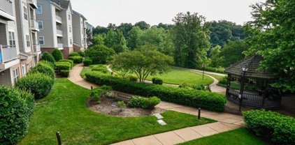 6501 Grange Ln Unit #301, Alexandria