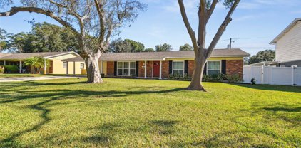 4913 N Shirley Drive, Tampa