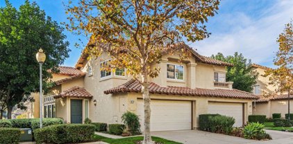 59 Fuente, Rancho Santa Margarita