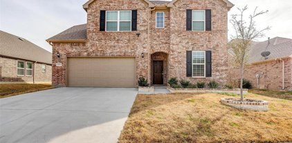809 Sweeping Butte  Drive, Fort Worth