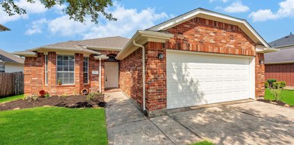 151 Rodeo Drive, Manvel