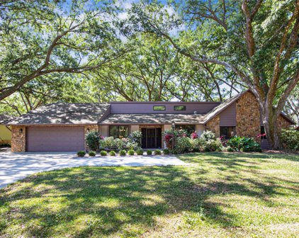 2113 Curry Road, Lutz