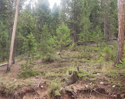 Backwoods Trail, Evergreen