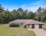 6844 W Stoney Gap Court, Crystal River image