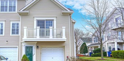 20406 Alderleaf Ter, Ashburn