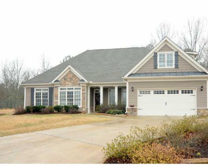 260 S Mountain Brook Way, Ball Ground