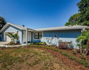 1341 Wexford Drive S, Palm Harbor image