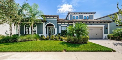 18201 Pine Hammock Boulevard, Lutz