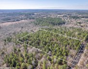 21168 CR 366, Gladewater image