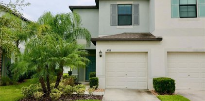 4018 Wild Senna Boulevard, Tampa