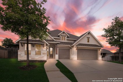 25727 Coreopsis, San Antonio