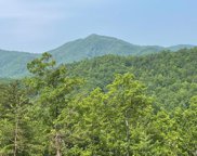 Lot 4 Caney Creek Rd, Pigeon Forge image