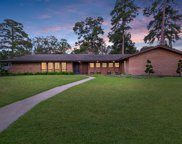 2103 De Milo Drive, Houston image