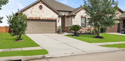 29516 Salem Fields Dr Drive, Spring