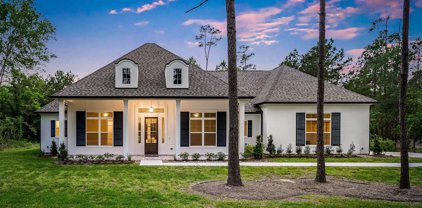15821 Wooded Trail Way, Willis