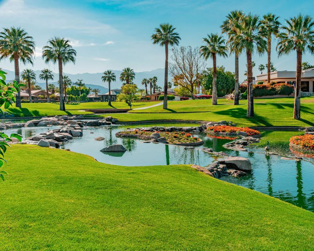 Palm Desert Real Estate