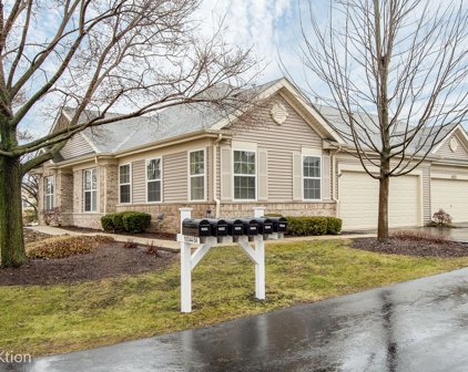 16554 Buckner Pond Way, Crest Hill