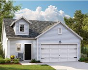 1205 Black Skimmer Street, Summerville image