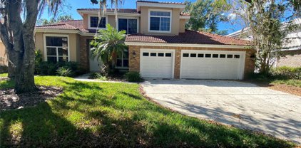 17945 Holly Brook Drive, Tampa