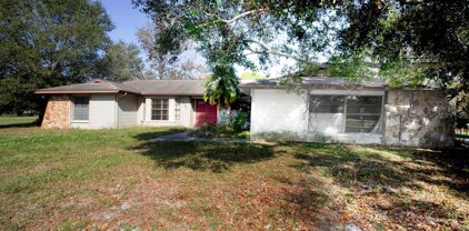 12701 Twin Branch Acres Road, Tampa