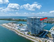Tampa image