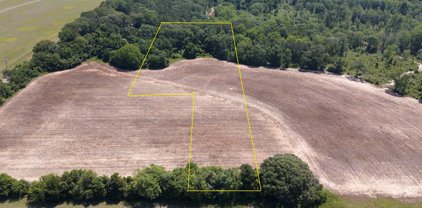 7 acres Highway 167, New Brockton