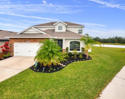 11810 Thicket Wood Drive, Riverview