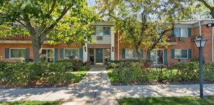 703 E Falcon Drive Unit #C102, Arlington Heights